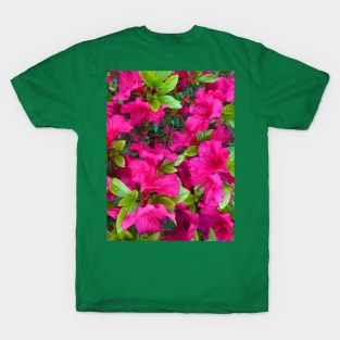 Pink Azaleas T-Shirt